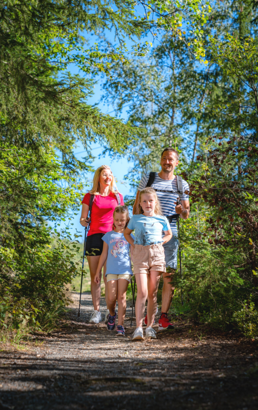 ahorn-harz-hotel-braunlage-wandern