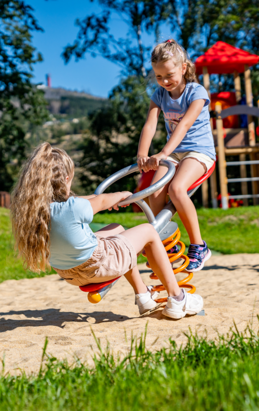 ahorn-harz-hotel-braunlage-yoki-ahorn-spielplatz