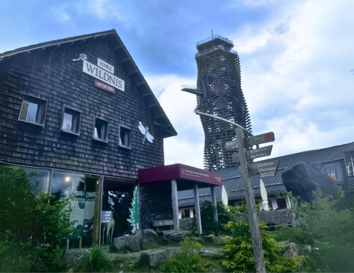 AHORN Harz Hotel Braunlage - Ausflugstipp: Harzturm