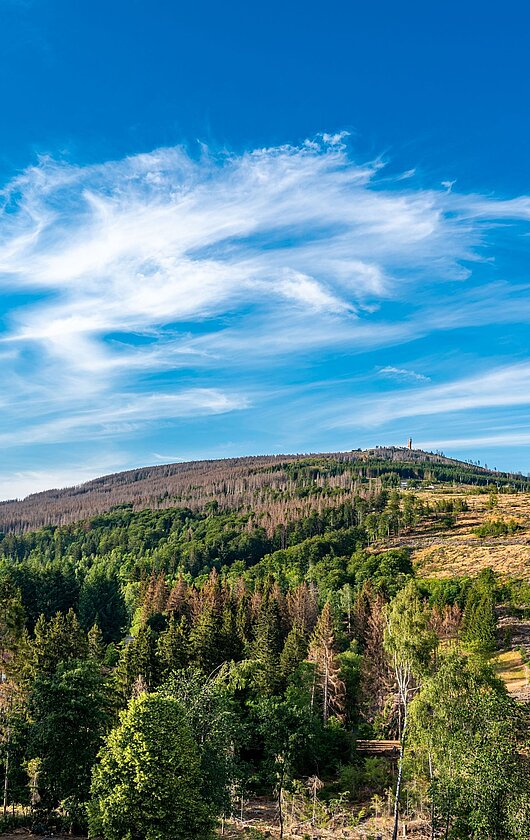 AHORN Harz Hotel Braunlage Ausblick Wurmberg