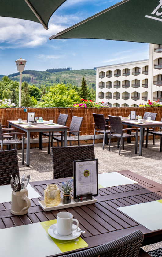 ahorn-berghotel-friedrichroda-terrasse