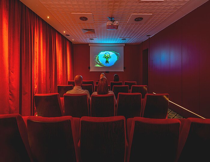 AHORN Harz Hotel Braunlage Kino